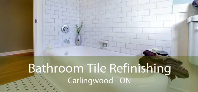 Bathroom Tile Refinishing Carlingwood - ON