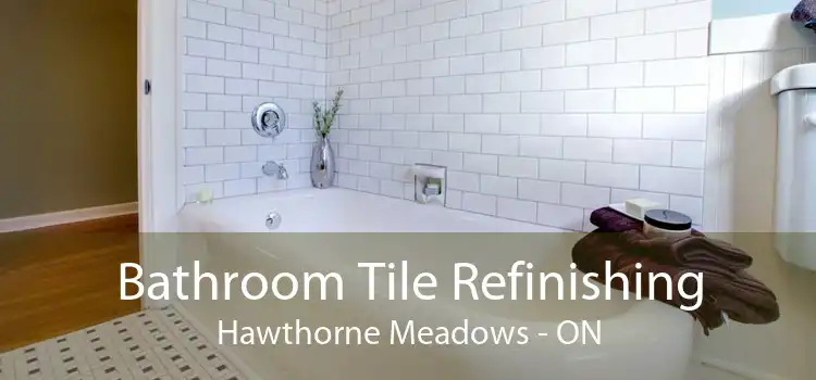 Bathroom Tile Refinishing Hawthorne Meadows - ON