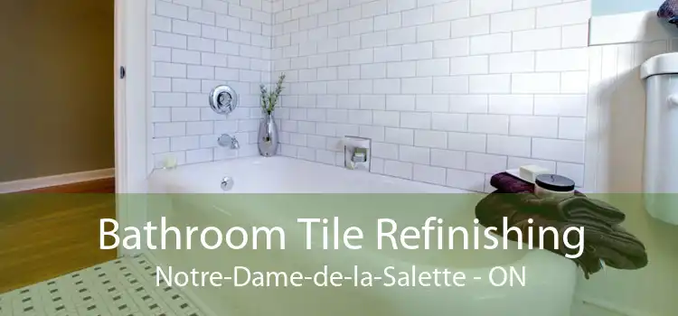 Bathroom Tile Refinishing Notre-Dame-de-la-Salette - ON