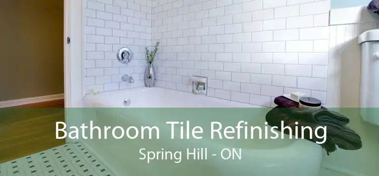 Bathroom Tile Refinishing Spring Hill - ON