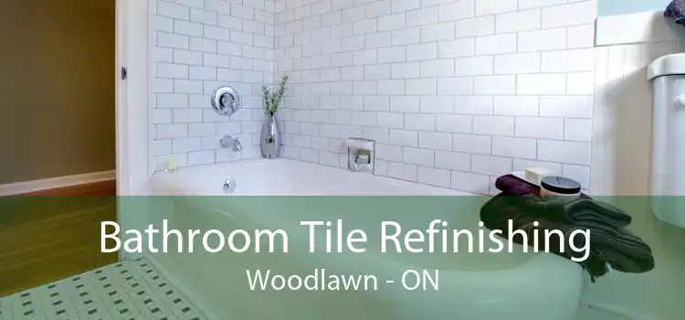 Bathroom Tile Refinishing Woodlawn - ON