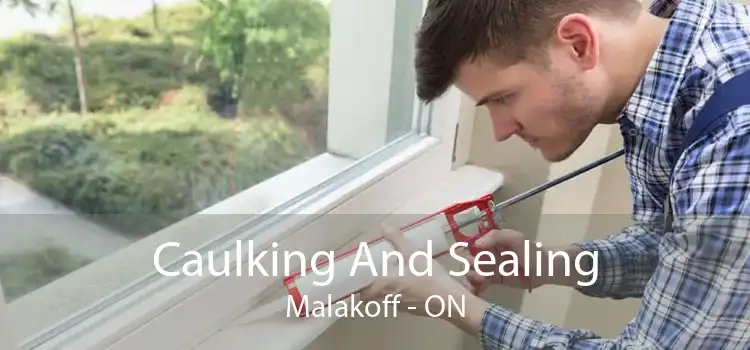 Caulking And Sealing Malakoff - ON