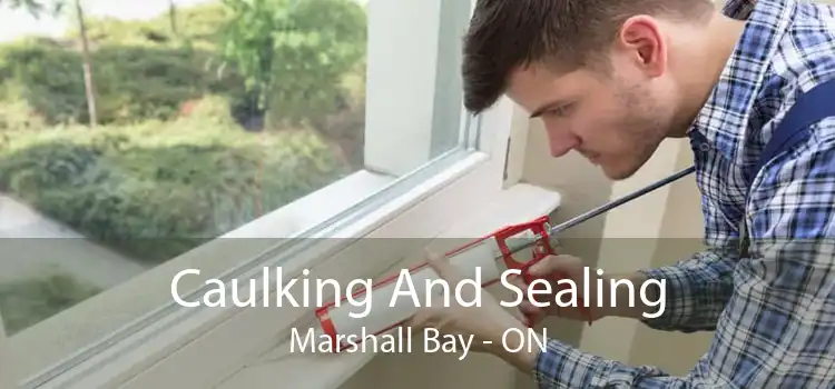 Caulking And Sealing Marshall Bay - ON