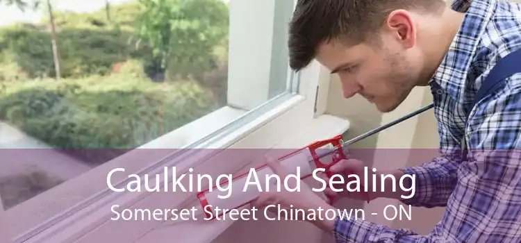 Caulking And Sealing Somerset Street Chinatown - ON