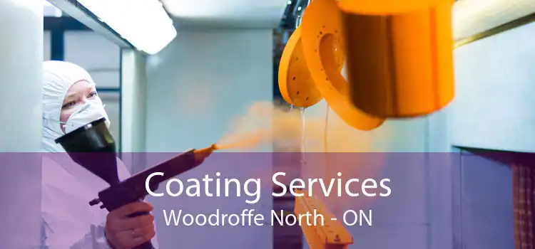 Coating Services Woodroffe North - ON