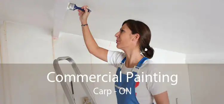 Commercial Painting Carp - ON