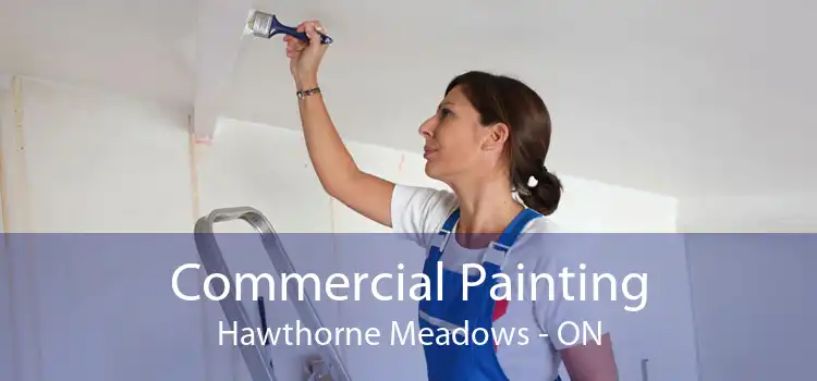 Commercial Painting Hawthorne Meadows - ON