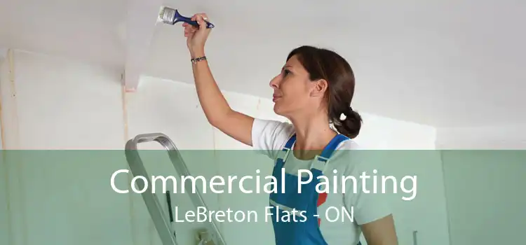 Commercial Painting LeBreton Flats - ON