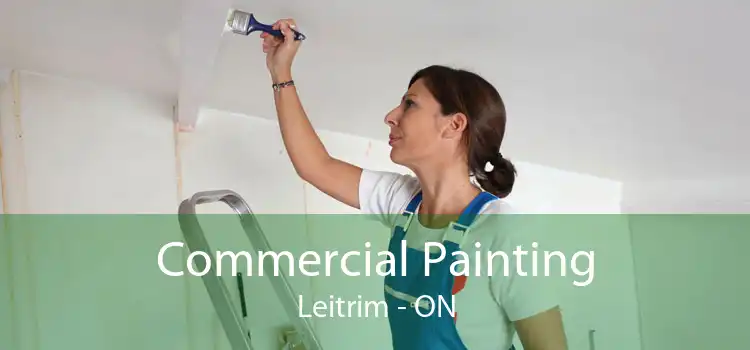 Commercial Painting Leitrim - ON