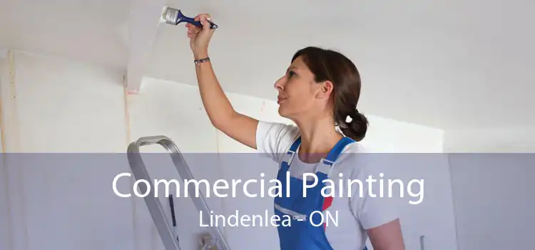 Commercial Painting Lindenlea - ON