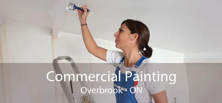 Commercial Painting Overbrook - ON