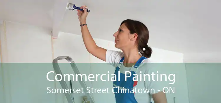 Commercial Painting Somerset Street Chinatown - ON