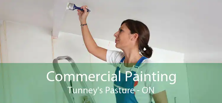 Commercial Painting Tunney's Pasture - ON