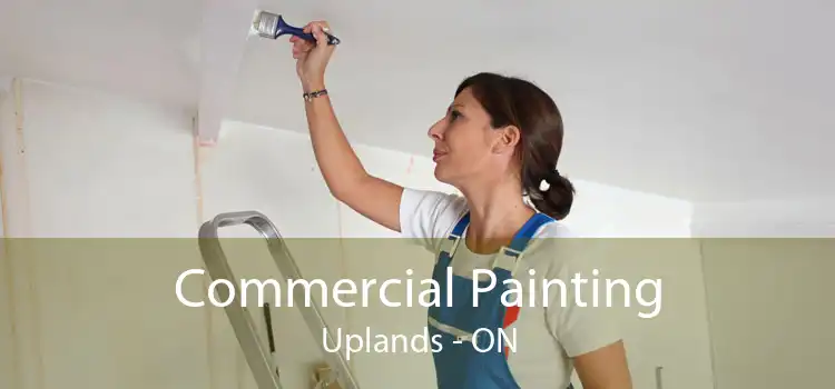 Commercial Painting Uplands - ON