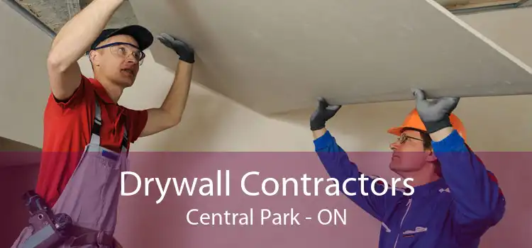 Drywall Contractors Central Park - ON