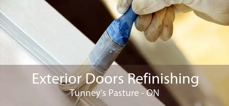 Exterior Doors Refinishing Tunney's Pasture - ON