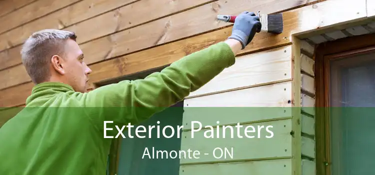Exterior Painters Almonte - ON