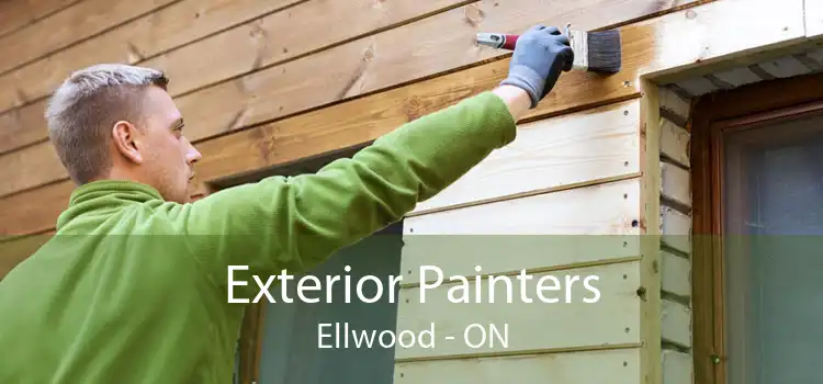 Exterior Painters Ellwood - ON