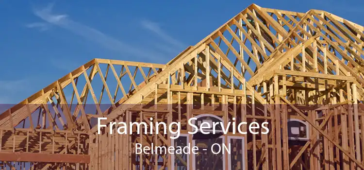 Framing Services Belmeade - ON