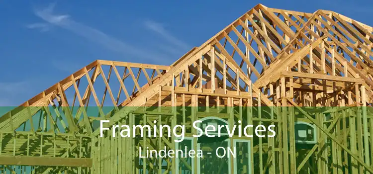 Framing Services Lindenlea - ON
