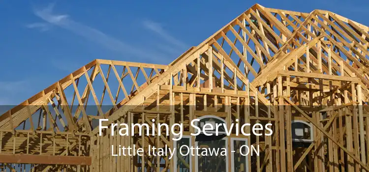 Framing Services Little Italy Ottawa - ON