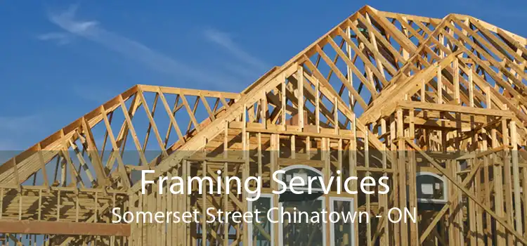 Framing Services Somerset Street Chinatown - ON