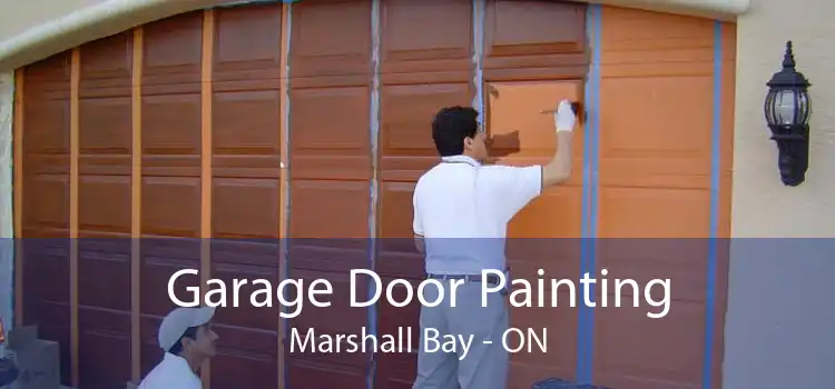 Garage Door Painting Marshall Bay - ON
