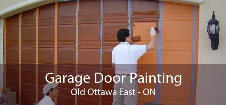 Garage Door Painting Old Ottawa East - ON