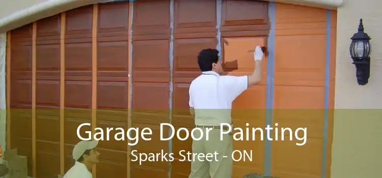 Garage Door Painting Sparks Street - ON