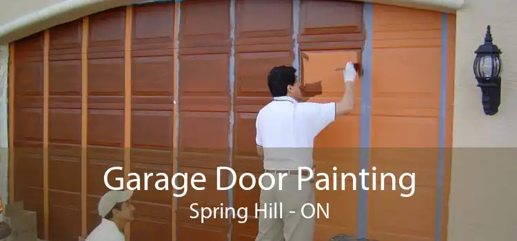 Garage Door Painting Spring Hill - ON