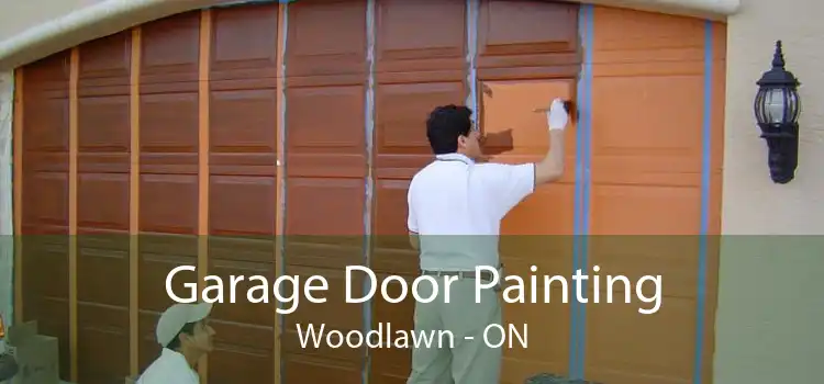 Garage Door Painting Woodlawn - ON