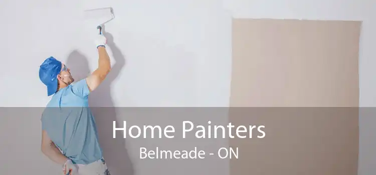 Home Painters Belmeade - ON