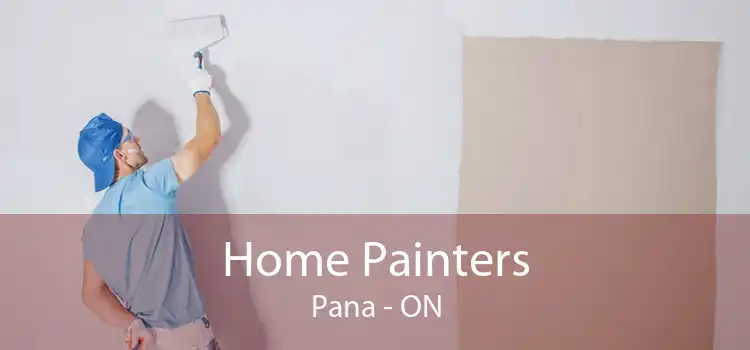 Home Painters Pana - ON
