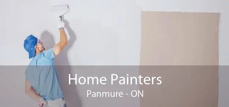 Home Painters Panmure - ON