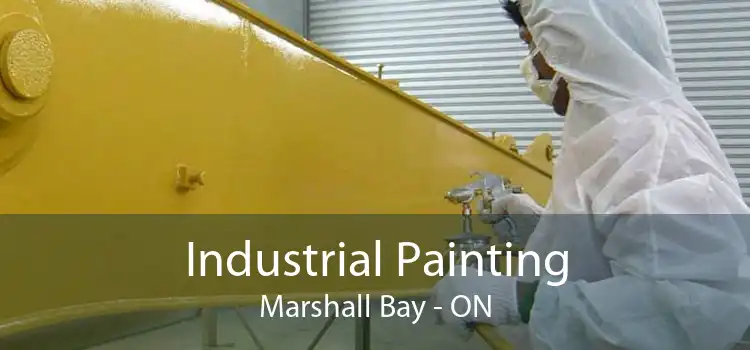 Industrial Painting Marshall Bay - ON