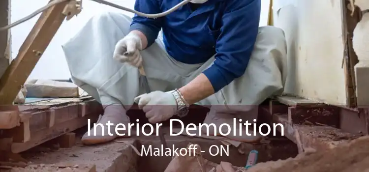 Interior Demolition Malakoff - ON