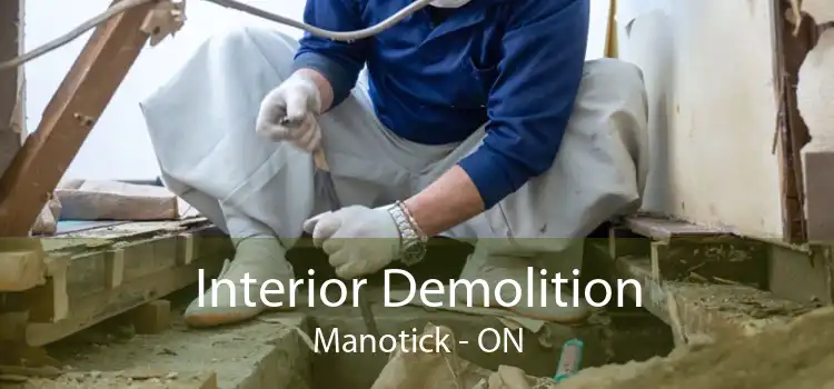 Interior Demolition Manotick - ON
