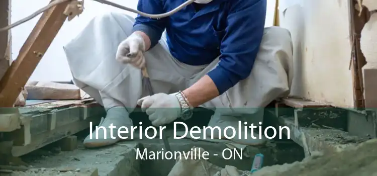 Interior Demolition Marionville - ON