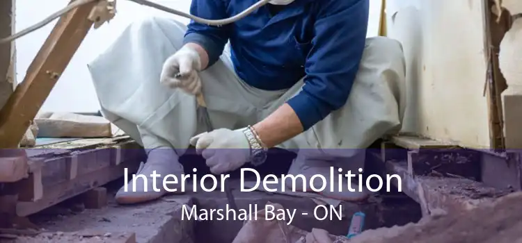 Interior Demolition Marshall Bay - ON