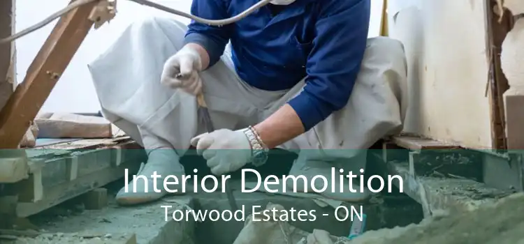 Interior Demolition Torwood Estates - ON