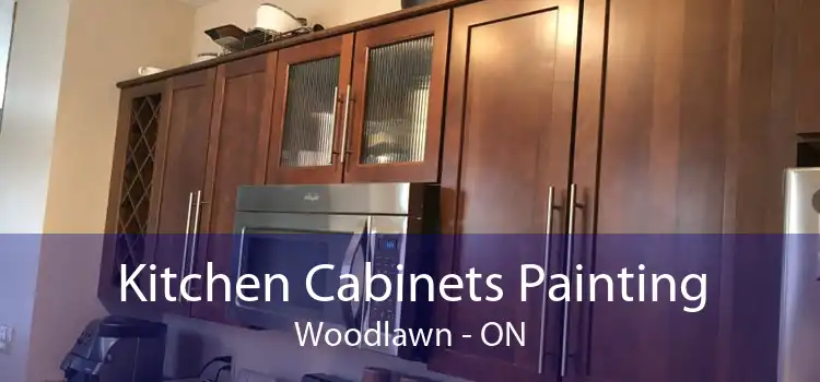 Kitchen Cabinets Painting Woodlawn - ON