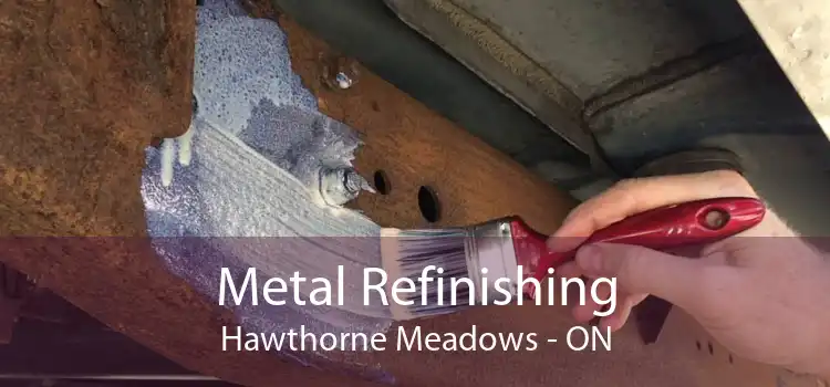 Metal Refinishing Hawthorne Meadows - ON
