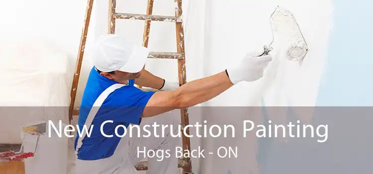 New Construction Painting Hogs Back - ON