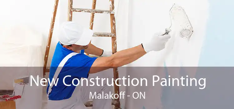 New Construction Painting Malakoff - ON