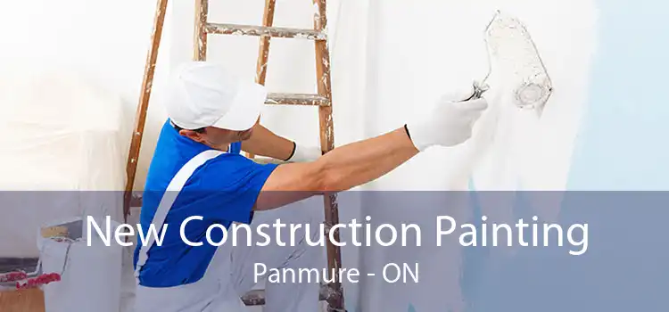 New Construction Painting Panmure - ON