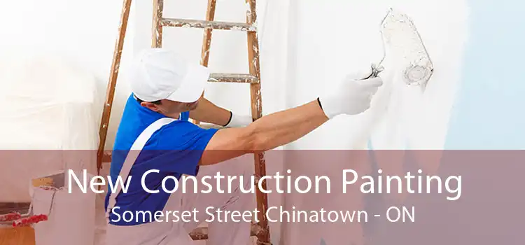 New Construction Painting Somerset Street Chinatown - ON