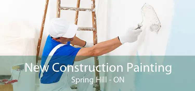 New Construction Painting Spring Hill - ON