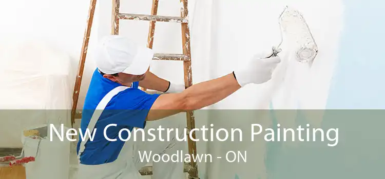 New Construction Painting Woodlawn - ON