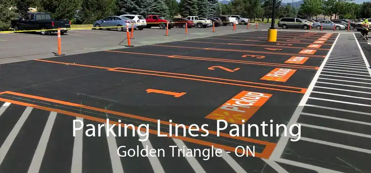 Parking Lines Painting Golden Triangle - ON