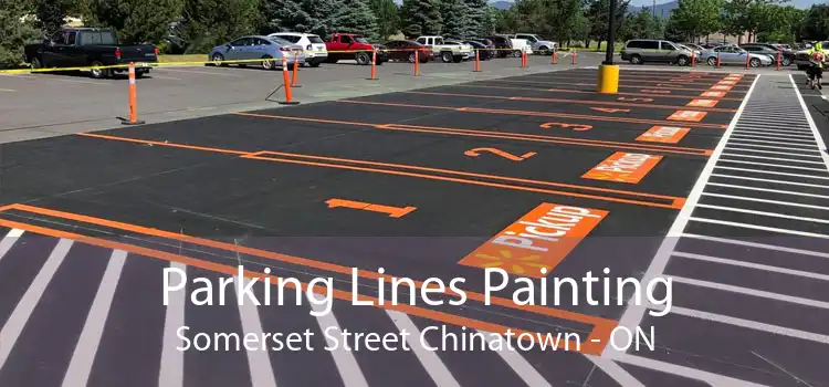 Parking Lines Painting Somerset Street Chinatown - ON